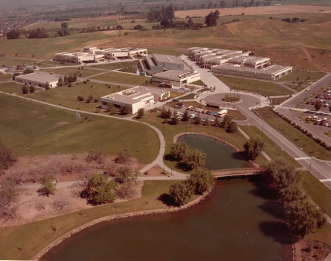 campus from 1975