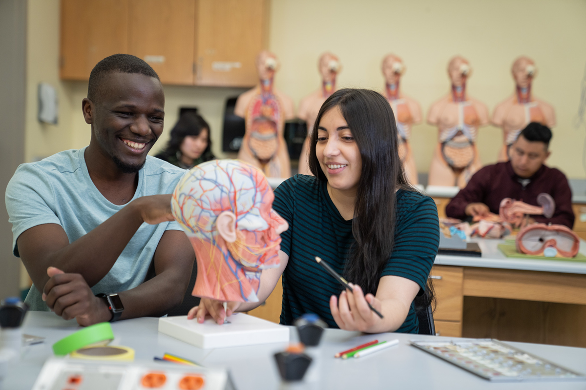 two human anathomy studens in class