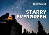 Starry Evergreen