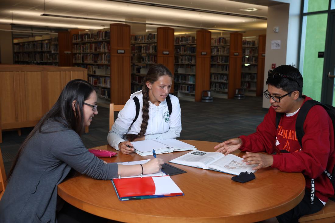 students in the Library