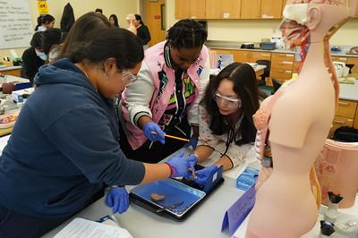 Students in the biology lab