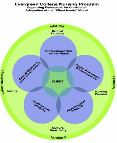 Organizing Framework for Curriculum